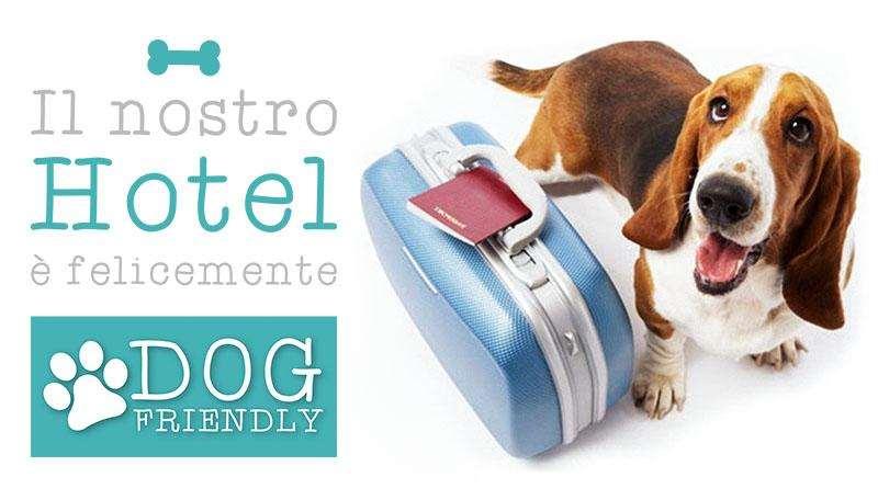 Hotel City Montesilvano Marina Amenities foto